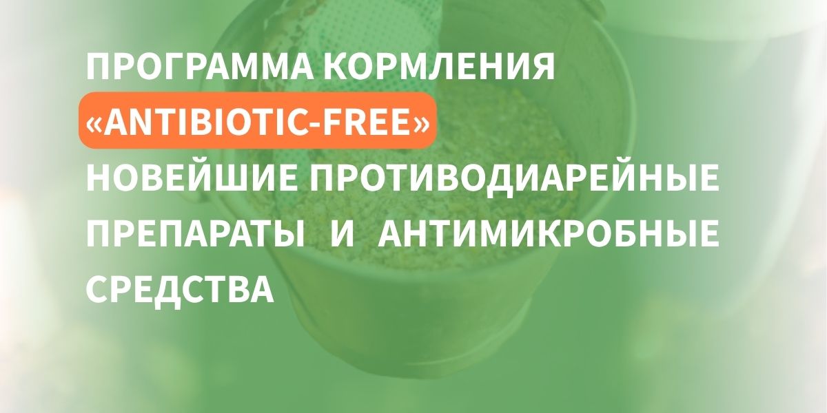 противодиарейные препараты