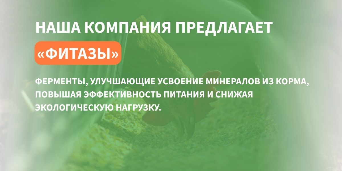 кормовые добавки