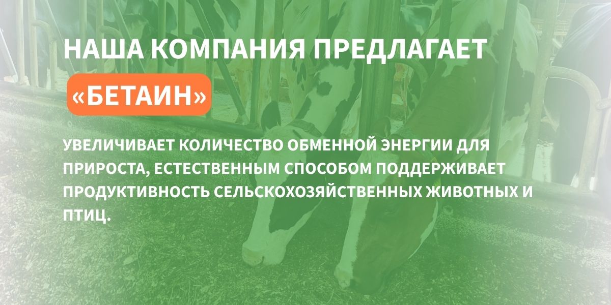 кормовые добавки